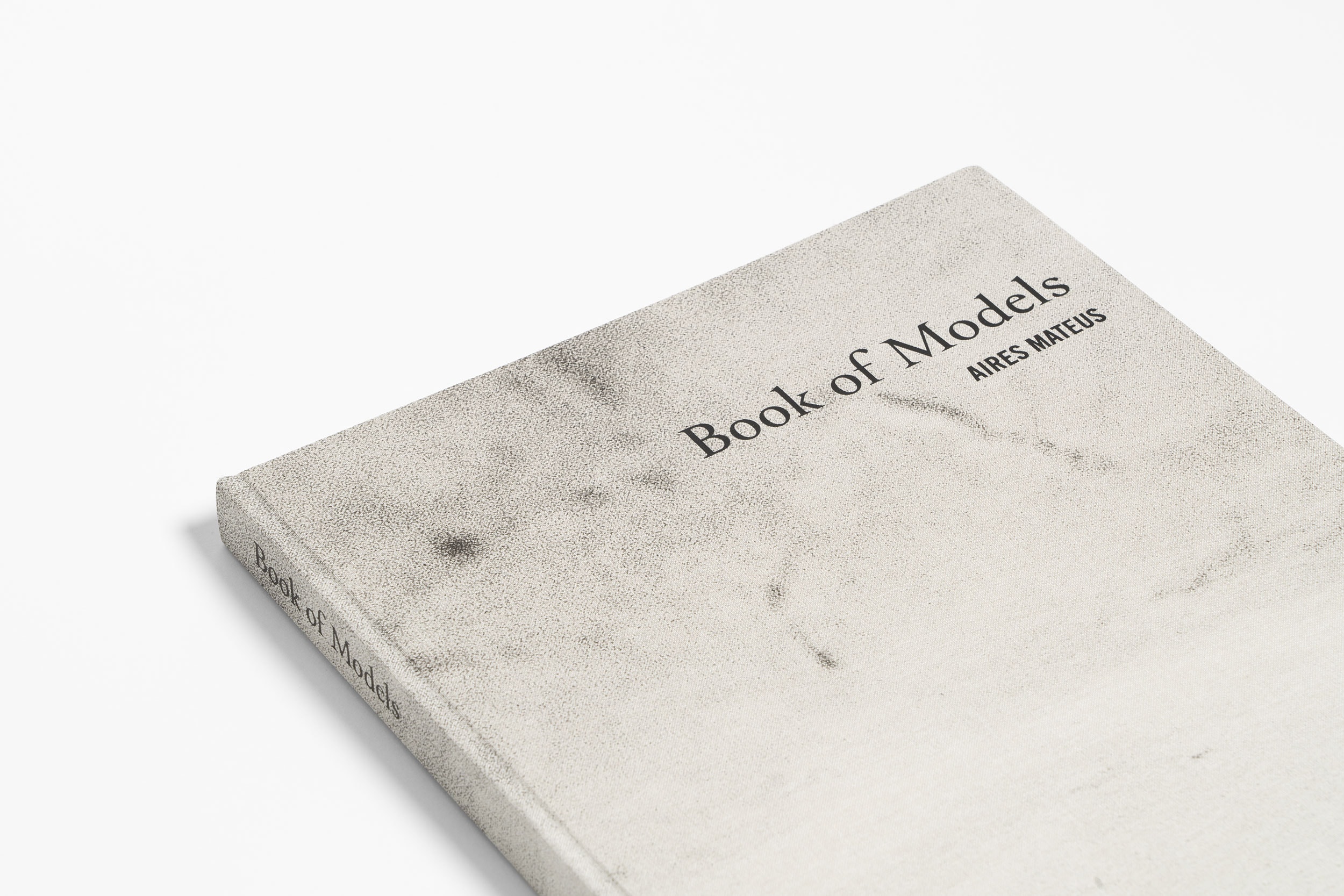 74 List Aires Mateus Book with Best Writers